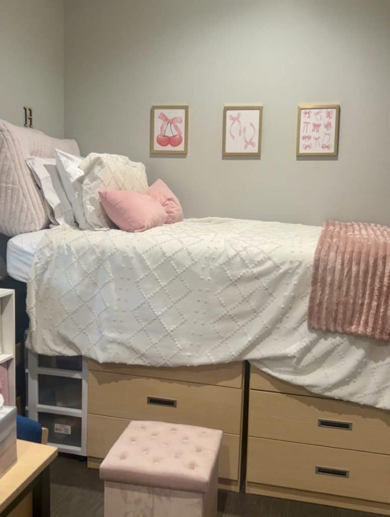  Cute & Cozy Pink Dorm Setup for Freshman Year