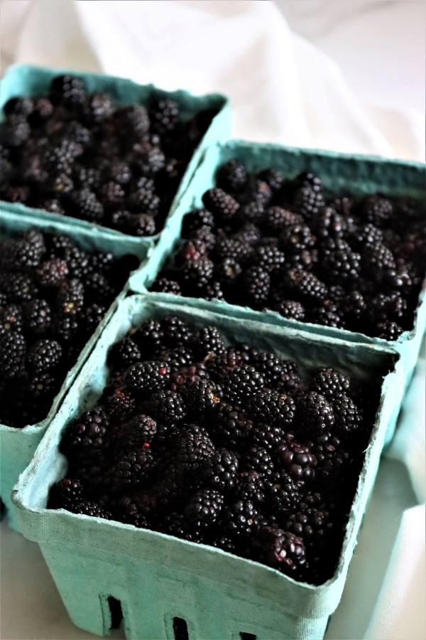 blackberries for jelly 2